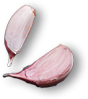 slide1-garlic.png